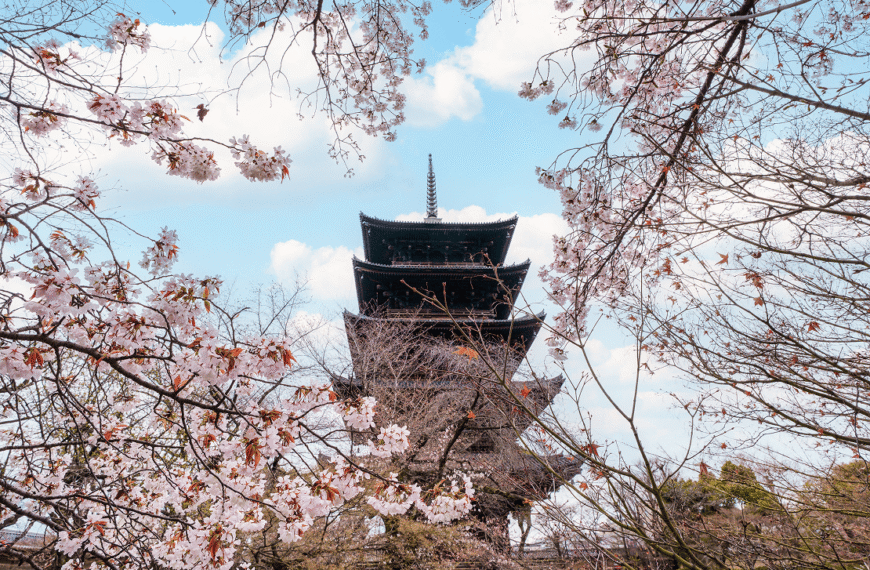 Kyoto in Bloom: Chasing Cherry Blossoms and Timeless&hellip;